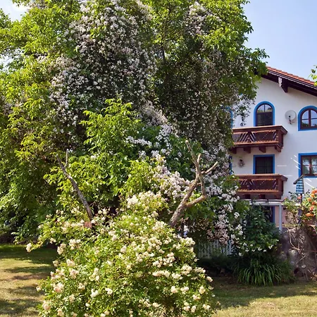 Moierhof *