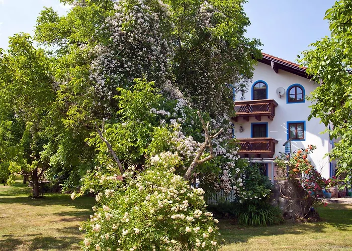 Moierhof *