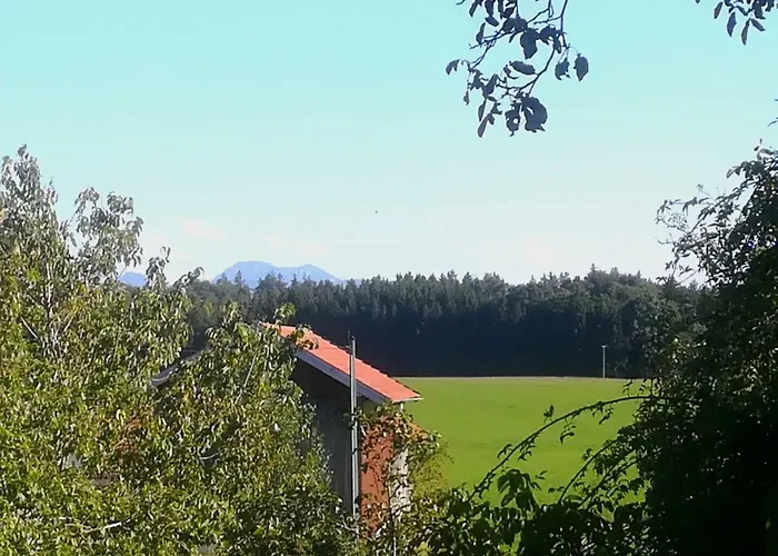 Apartamento Moierhof *